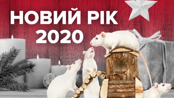 Новий рік Білого Щура 2020: як його правильно зустріти