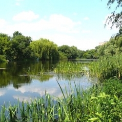 День водного господарства